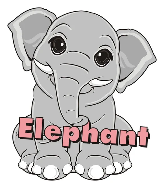회색 작은 코끼리 — 스톡 사진