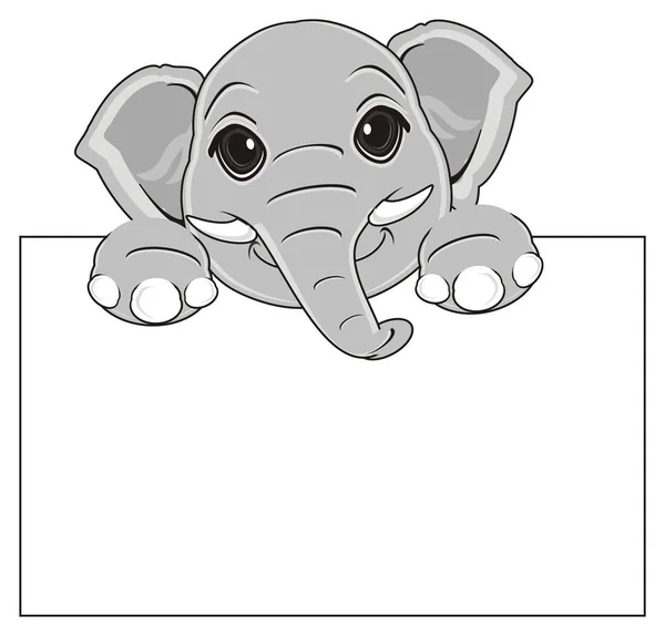 Elefante pequeño gris — Foto de Stock