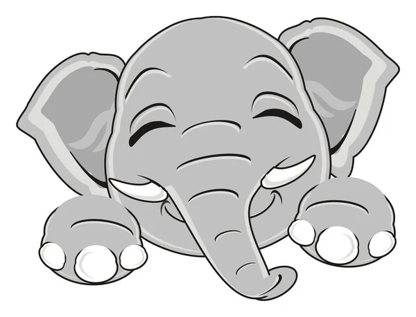 灰色的小大象 — 图库照片