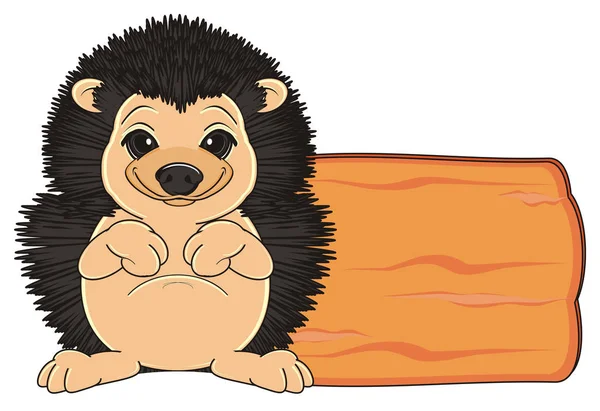 Cute little hedgehog — Stock Photo, Image