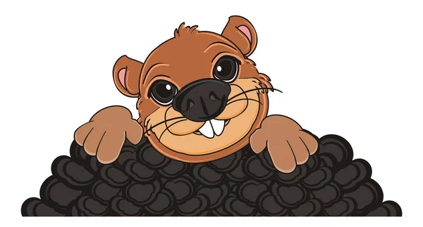 Marmota castanha feliz — Fotografia de Stock