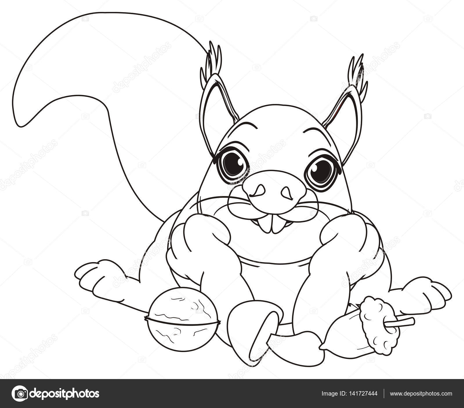 Kleurplaat Cquirrel Liggend Stockfoto Tatty77tatty 141727444
