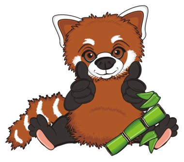 sevimli kırmızı panda