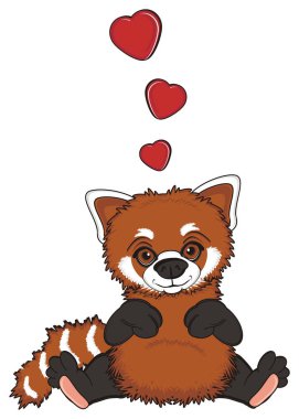 sevimli kırmızı panda