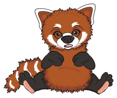 sevimli kırmızı panda