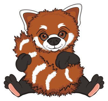 sevimli kırmızı panda