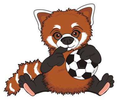 sevimli kırmızı panda