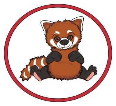 sevimli kırmızı panda
