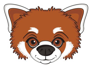 sevimli kırmızı panda
