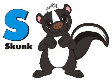 küçük siyah kokarca