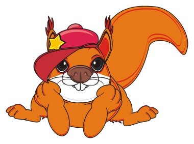 tatlı turuncu sincap