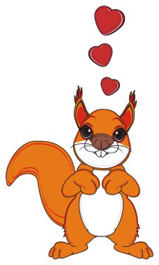 tatlı turuncu sincap