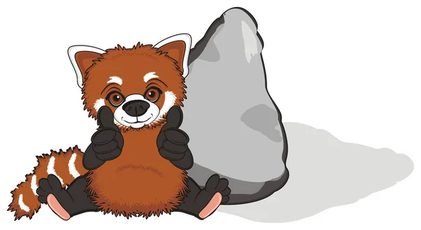 Cute red panda — Stock Photo, Image