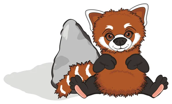 Söt röd panda — Stockfoto