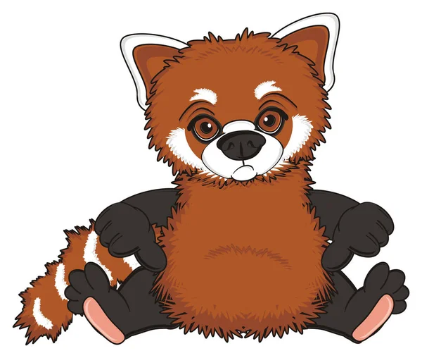Sevimli kırmızı panda — Stok fotoğraf