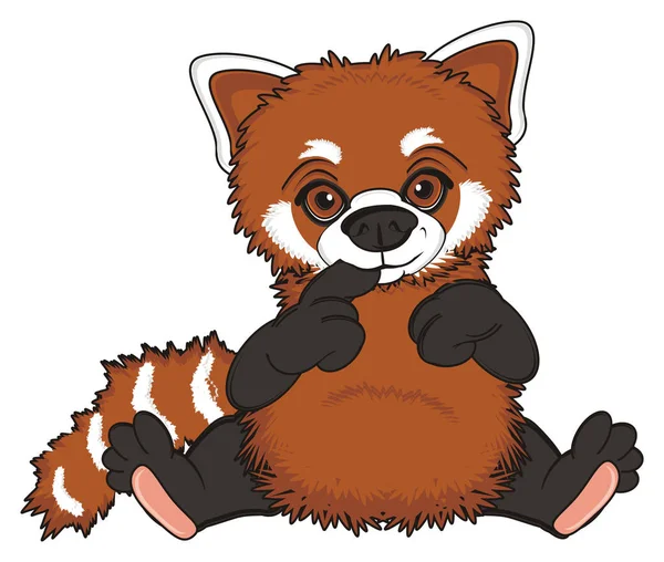 Cute red panda — Stock Photo, Image