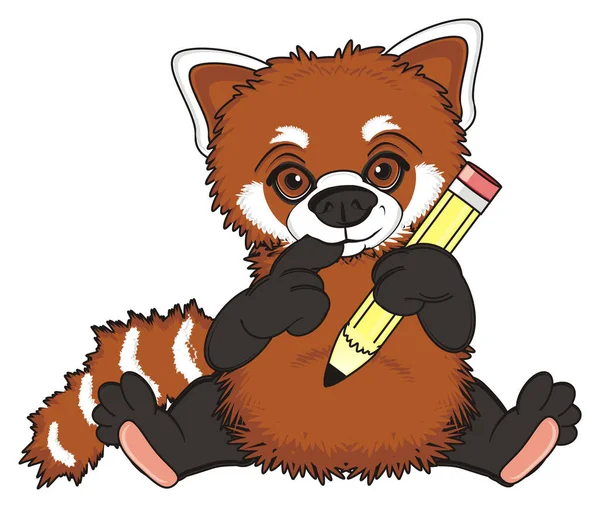 Cute red panda — Stock Photo, Image