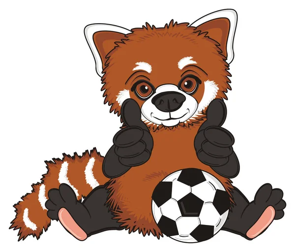 Bonito vermelho panda — Fotografia de Stock