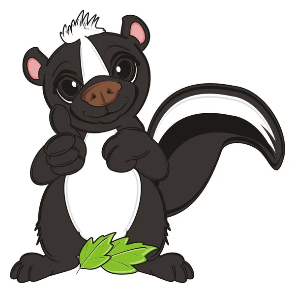 Malé černé skunk — Stock fotografie