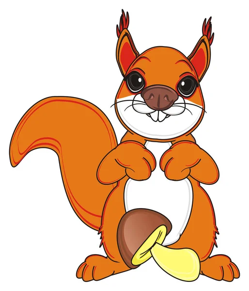 Schattige oranje eekhoorn — Stockfoto