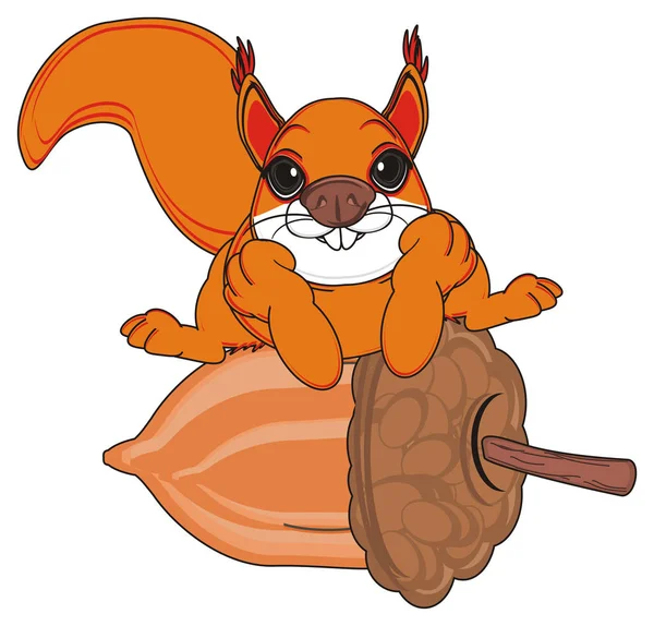 可爱的橙色松鼠 — 图库照片