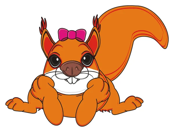可爱的橙色松鼠 — 图库照片