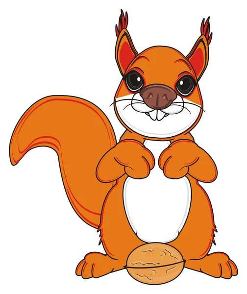 Schattige oranje eekhoorn — Stockfoto