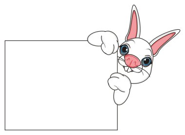 Tatlı beyaz tavşan.