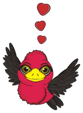 sevimli kırmızı kuş