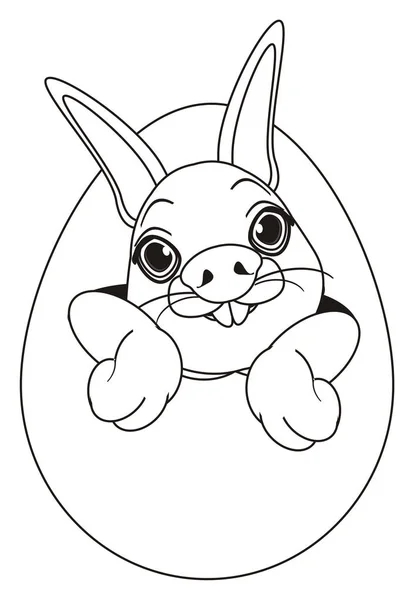 Розмальовка морда кролика на яйці — стокове фото