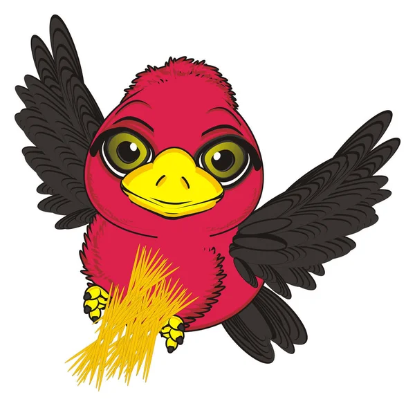 Süßer roter Vogel — Stockfoto