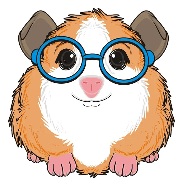 Cute guinea pig — Stock Photo, Image