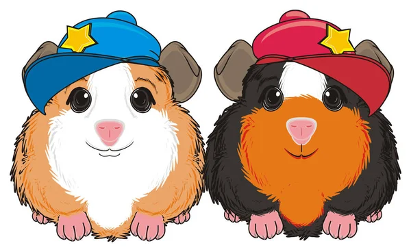 Cute guinea pigs — Stock Photo, Image