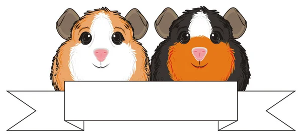 cute guinea pigs