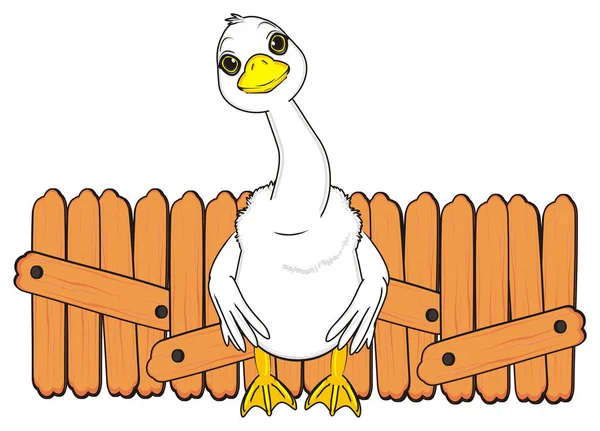 Cute white goose — Stock Photo, Image