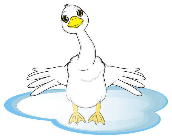 Cute white goose — Stock Photo, Image