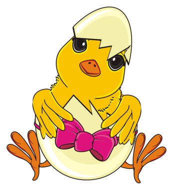 sevimli sarı civciv