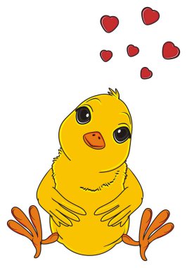 sevimli sarı civciv