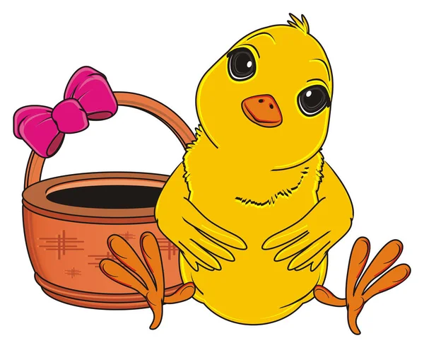 Cute yellow chick — Stock Photo, Image