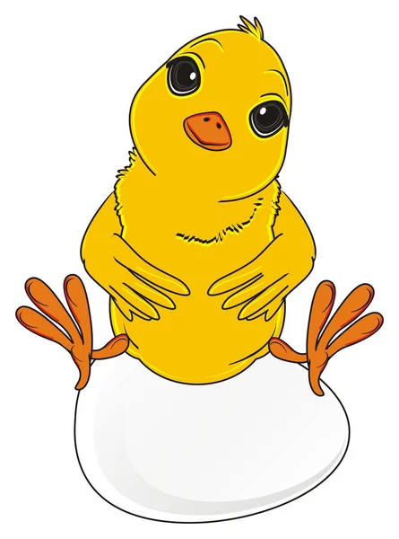 Schattige gele chick — Stockfoto