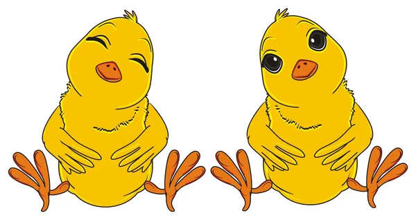 Cute yellow chicks — Stock Photo, Image