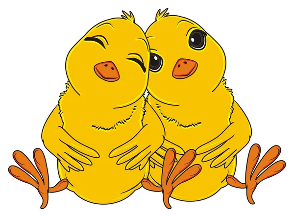 Lindos polluelos amarillos — Foto de Stock