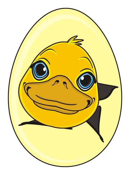 Cute yellow duck — Stock Photo, Image