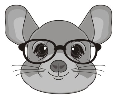 şirin gri chinchilla