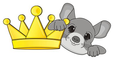 şirin gri chinchilla