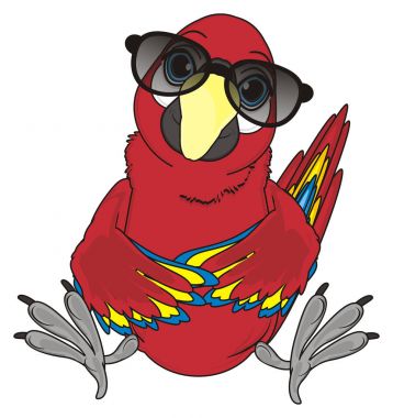 sevimli kırmızı papağan