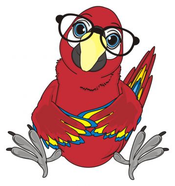 sevimli kırmızı papağan