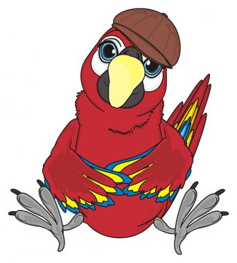 sevimli kırmızı papağan