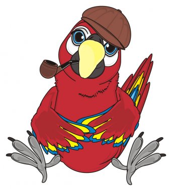 sevimli kırmızı papağan