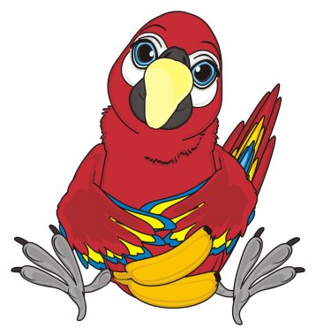 sevimli kırmızı papağan